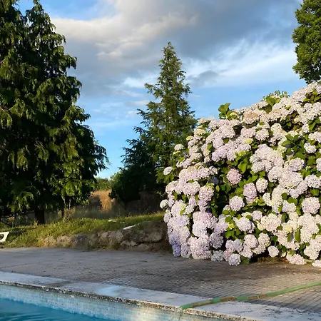 Holiday home Casa Do Mogadouro Mesquitela