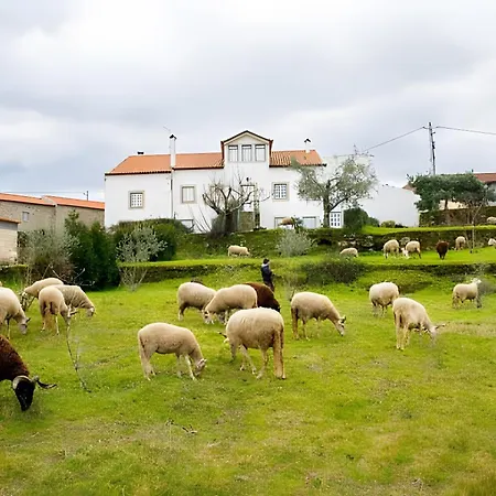 Holiday home Casa Do Mogadouro *