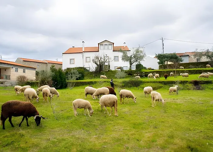 Casa Do Mogadouro 度假居 *